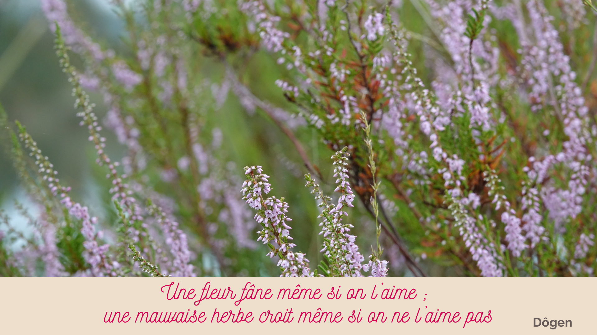 0506 Citation20251115