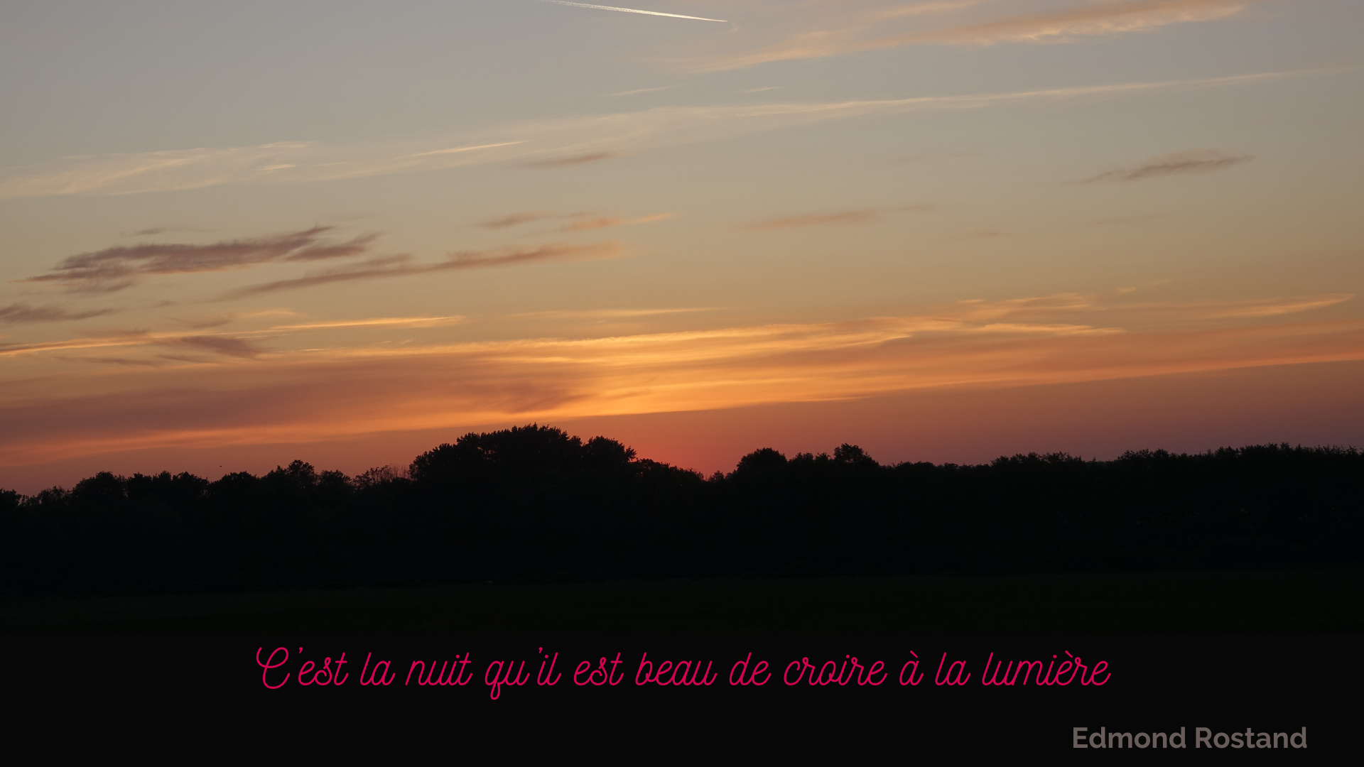 0506 Citation20251201