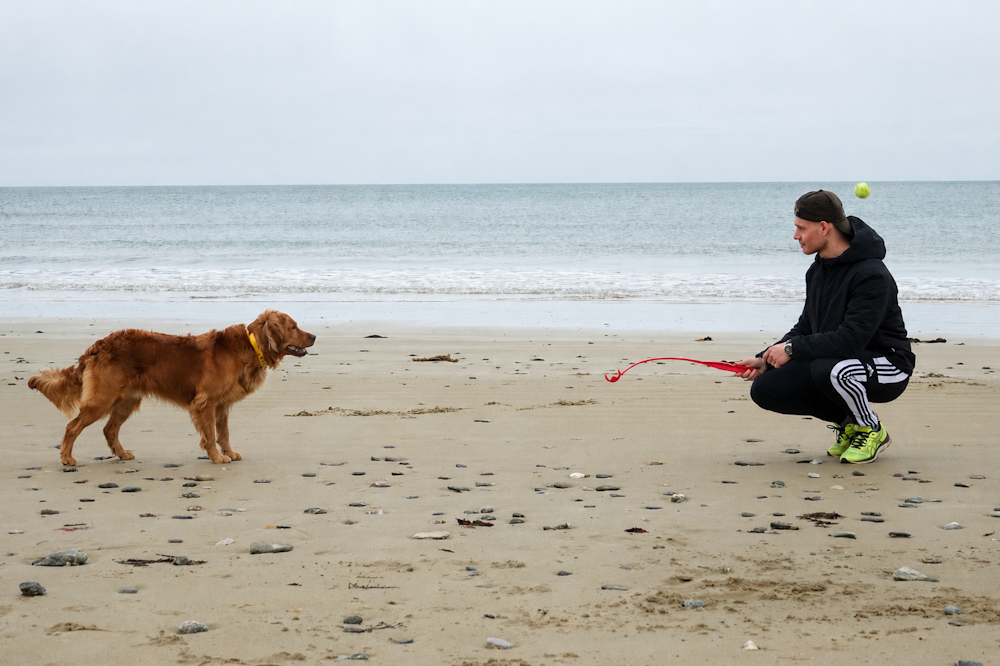 Animal et vivant relation humain animal chevaux chiens nature Lydie Poisson