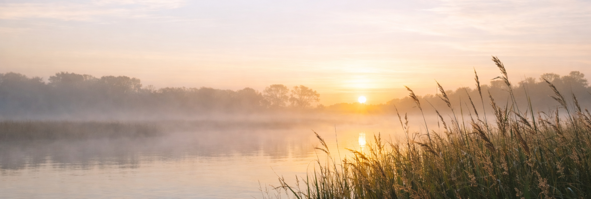 explorer son histoire familiale et les transmissions familiales